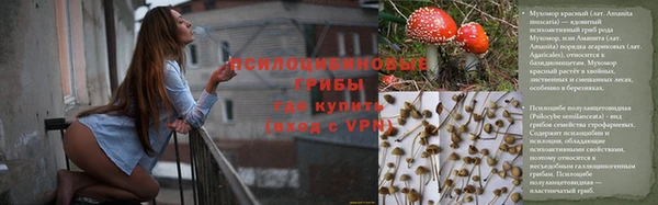 соль курить ск Алексеевка