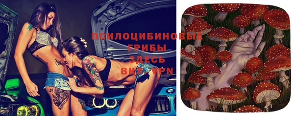 соль курить ск Алексеевка