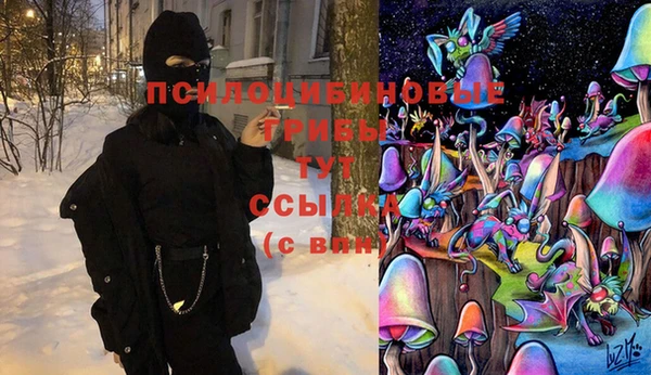 герыч Алзамай