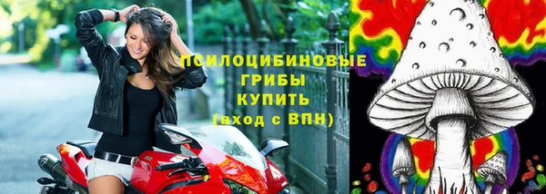 стаф Алексин