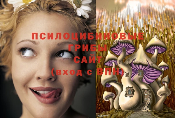соль курить ск Алексеевка