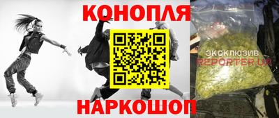 стафф Донецк