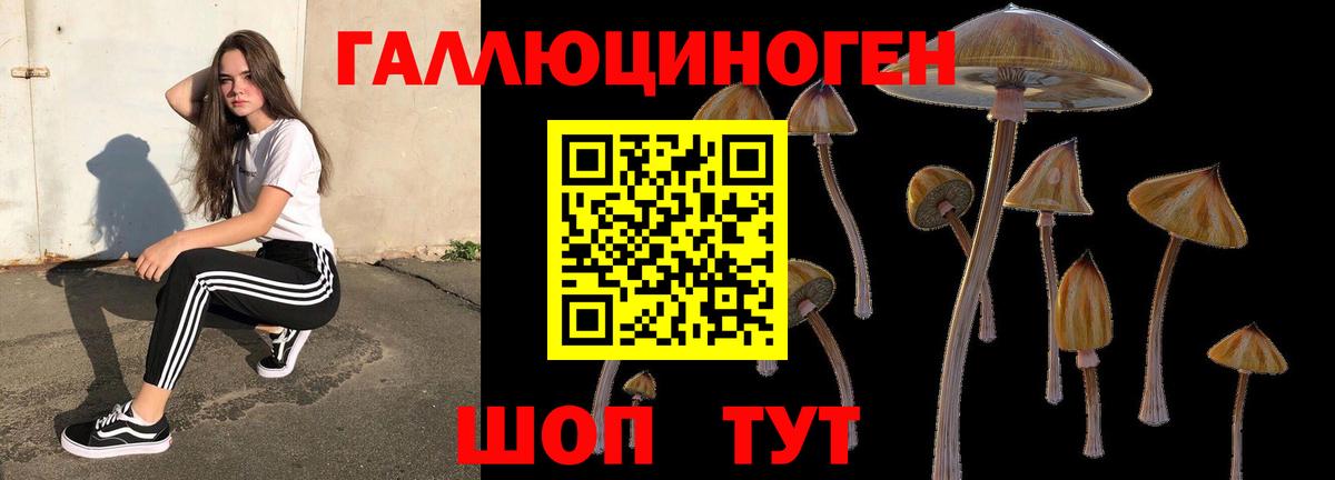 Псилоцибиновые грибы Psilocybine cubensis  Вход с VPN  Жуковский 